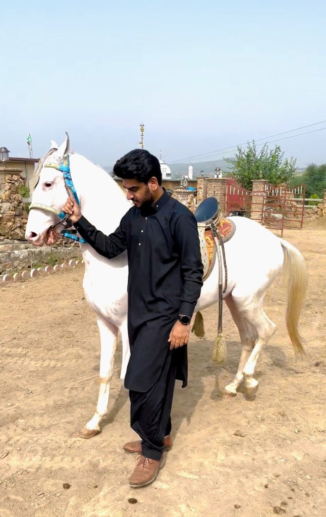 whatsapp image 2025 10 30 at 20.33.43 ef486e88